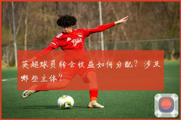 英超球员转会收益如何分配?涉及哪些主体?