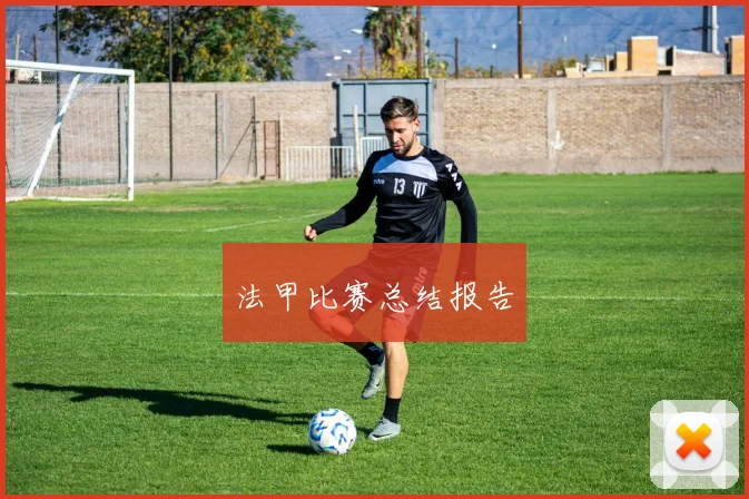 法甲比赛总结报告